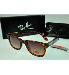 Ray-ban Glasses-1443